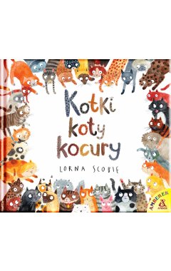 Kotki, koty, kocury