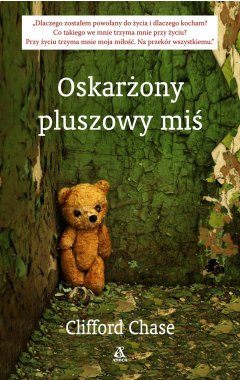 Oskarżony pluszowy Miś