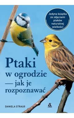 Ptaki w ogrodzie — jak je rozpoznawać